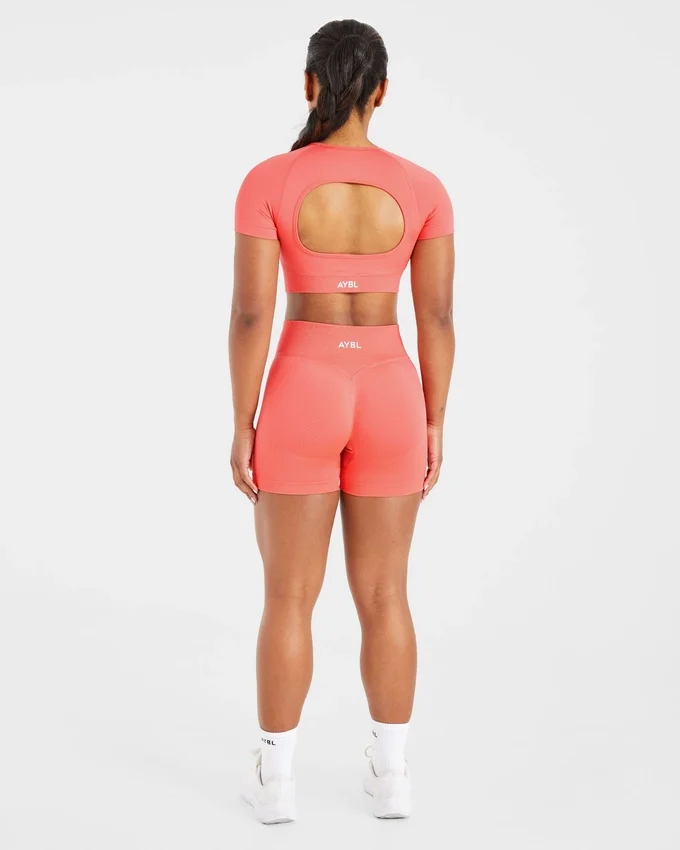 Adapt Seamless Crop Top