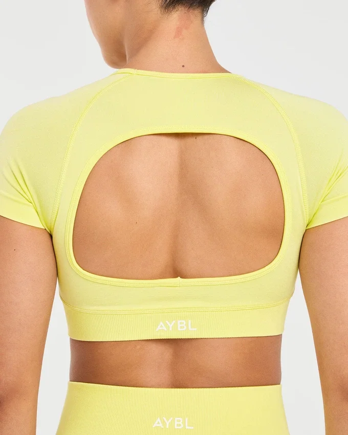 Adapt Seamless Crop Top