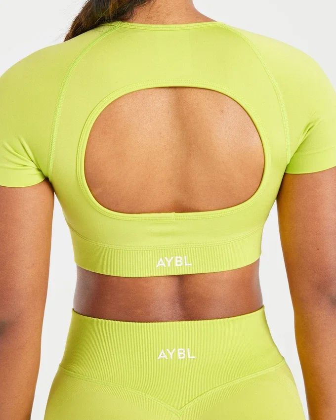 Adapt Seamless Crop Top