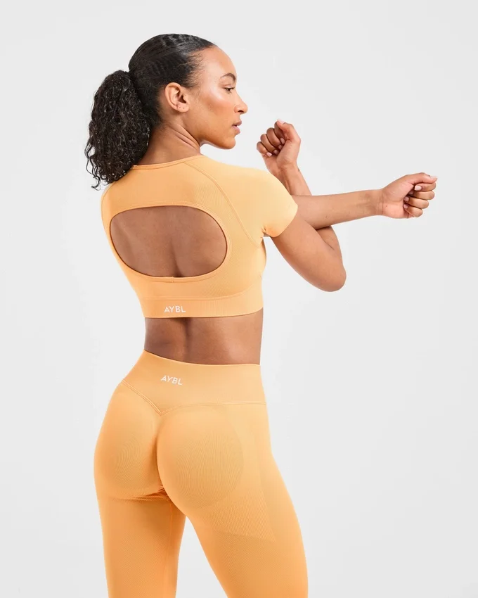 Adapt Seamless Crop Top