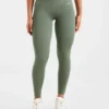 Adapt Seamless Leggings