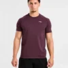 Ascend Seamless T Shirt