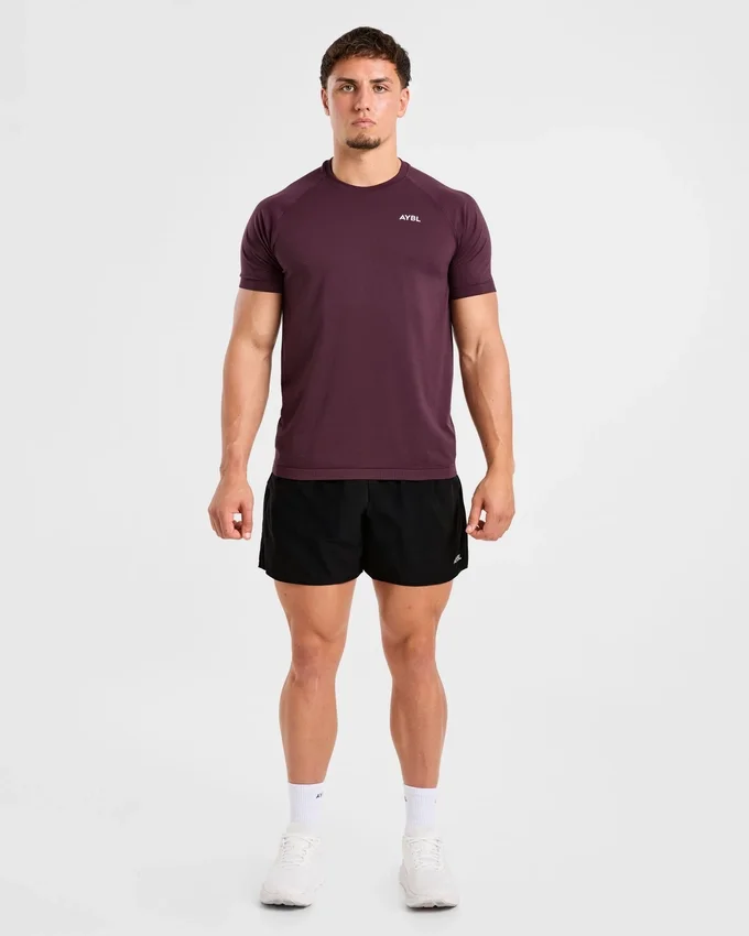 Ascend Seamless T Shirt