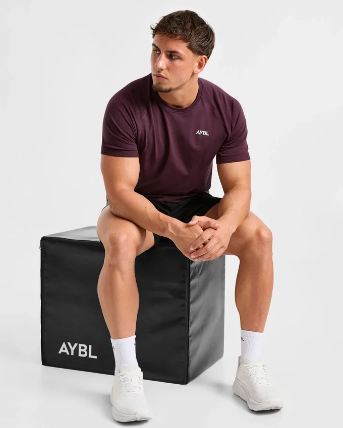 Ascend Seamless T Shirt