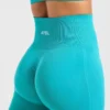 Empower Seamless Leggings