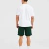 Rebound Shorts