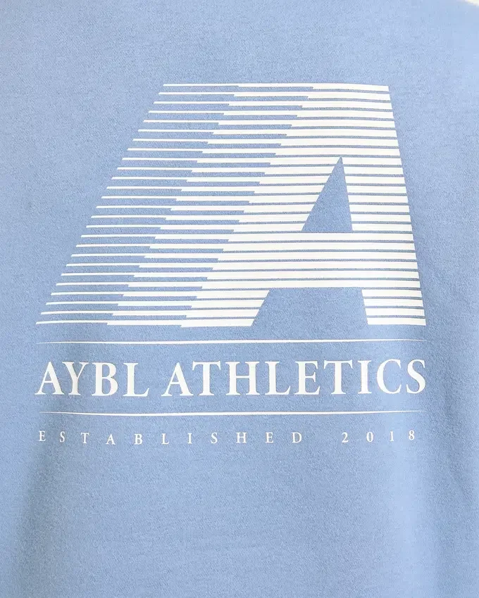 Retro Athletics Oversized 1/4 Zip Pullover